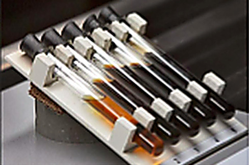 Samples of the elements of interest prepared for analysis.